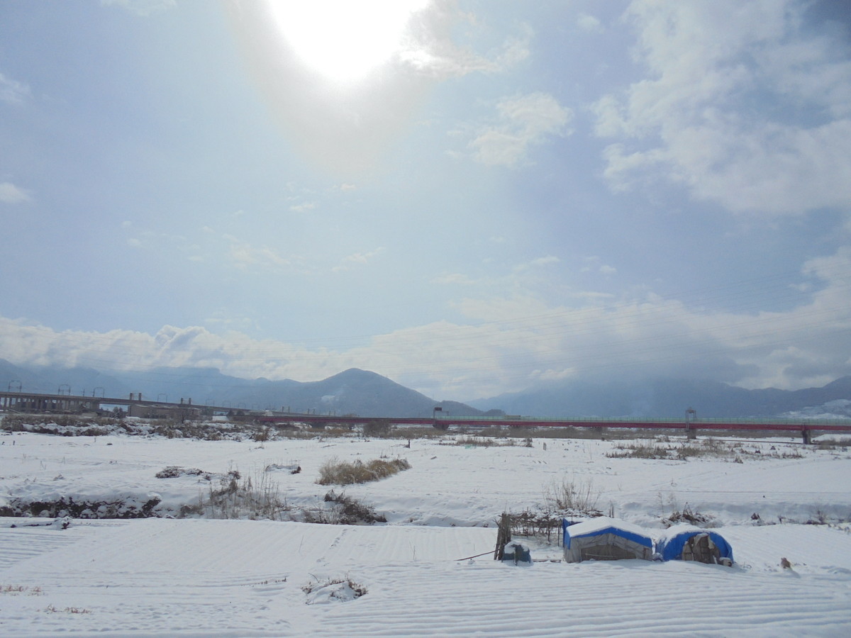 f:id:lupoGTI:20220211145003j:plain