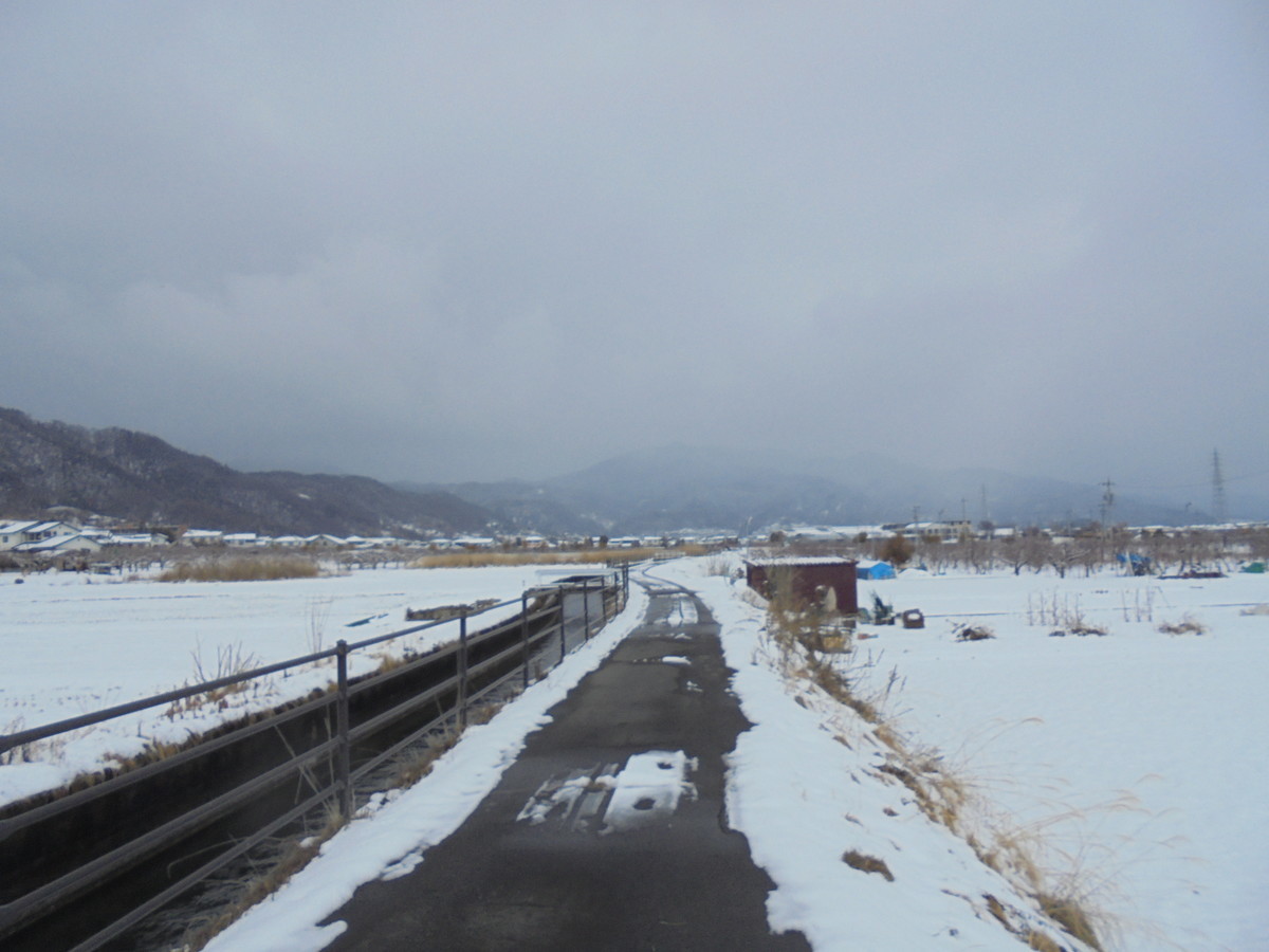 f:id:lupoGTI:20220211145012j:plain