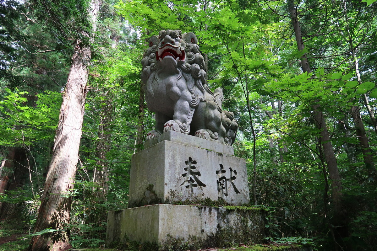 戸隠奥社参道ウォーキング - ありのままに生きる