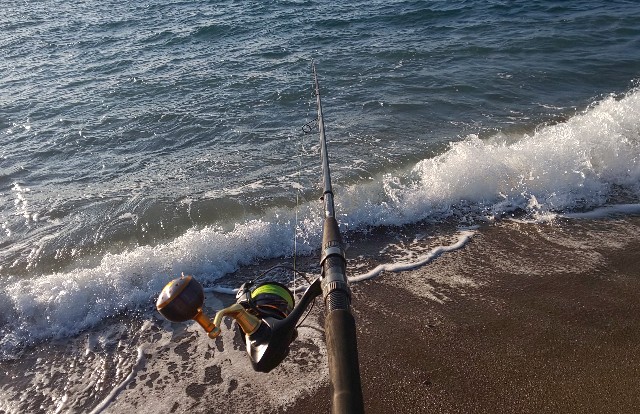 ライトショアジギング&サーフフラット 第15戦 - ルアりずむ