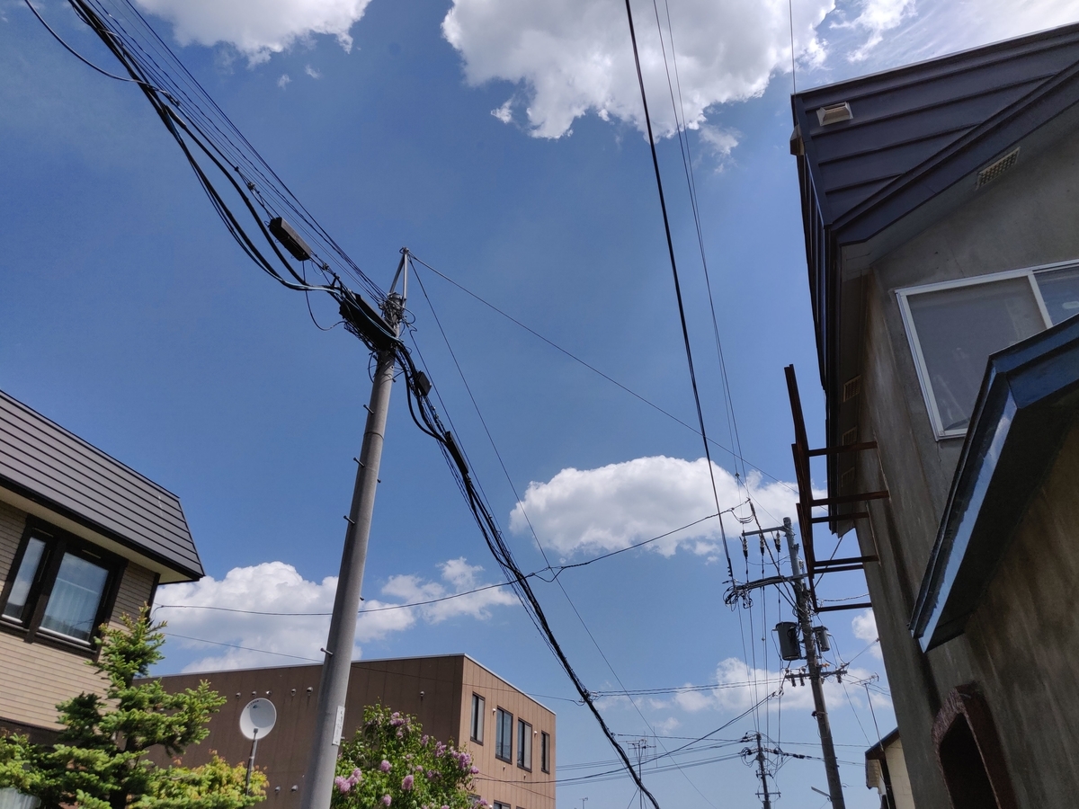 f:id:lutenist314:20190902180413j:plain f:id:lutenist314:20190902180413j:plain