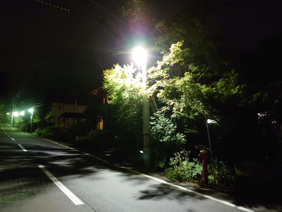 f:id:lutenist314:20190902181137j:plain f:id:lutenist314:20190902181137j:plain