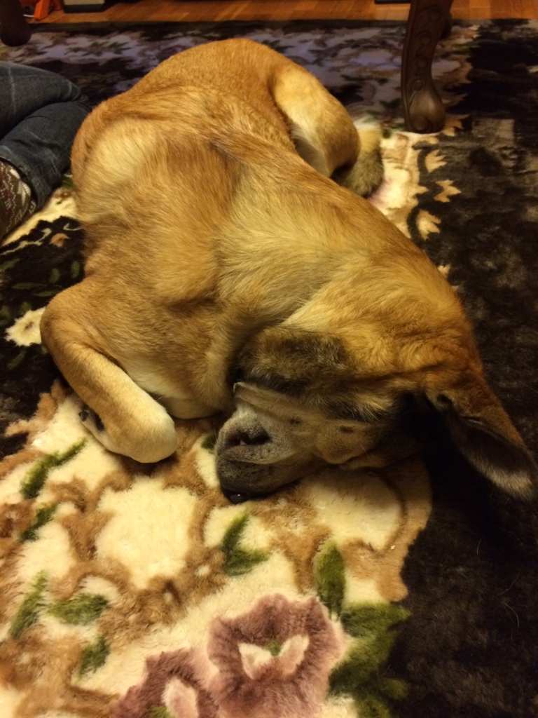 f:id:luv-surf0223:20160722102911j:plain