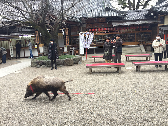 f:id:luvaqa:20190125114007j:image f:id:luvaqa:20190125114007j:image