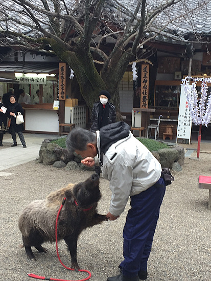 f:id:luvaqa:20190125114009j:image f:id:luvaqa:20190125114009j:image