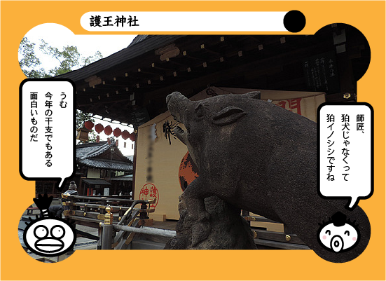f:id:luvaqa:20190125114015p:image f:id:luvaqa:20190125114015p:image