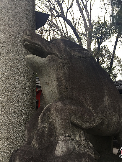 f:id:luvaqa:20190125114049j:image f:id:luvaqa:20190125114049j:image