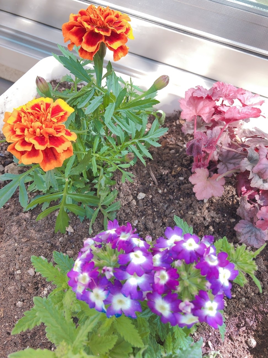 f:id:luvdol:20190319133105j:plain f:id:luvdol:20190319133105j:plain