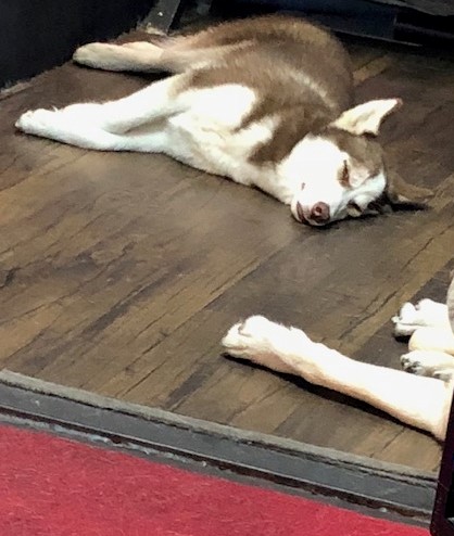 f:id:luvhongdae:20190923002952j:plain