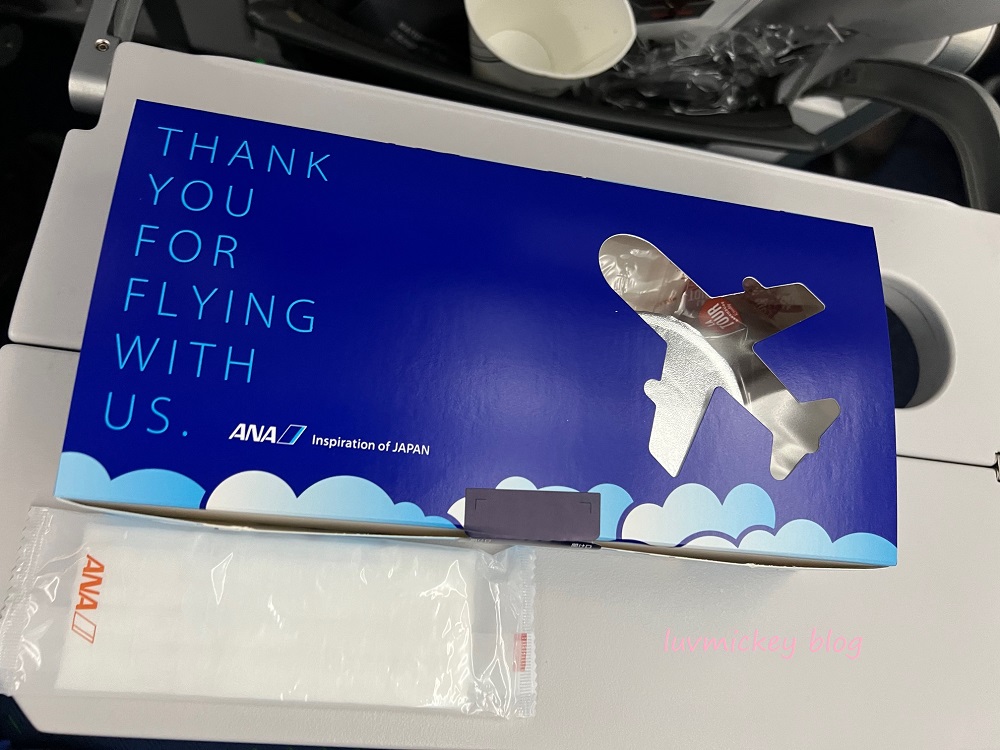 オハナページです(^^) 全日空商事 787-9 ANA 全日空 GEエンジン (ギアなし、WiFi