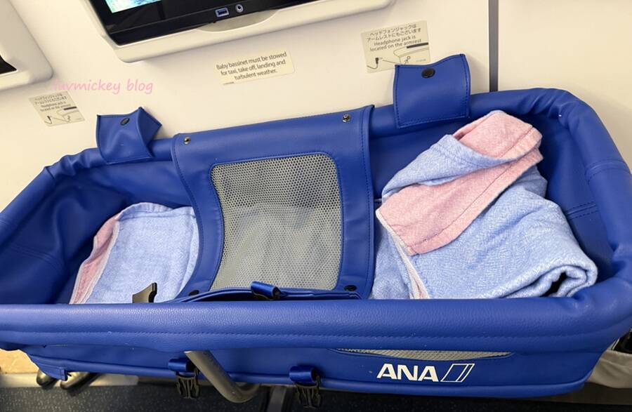 AVISO New Toy 5.9 手渡し限定 千葉南 フィン4セット込み 0歳赤ちゃん連れのANAフライングホヌでハワイ旅行 - luvmickey blog