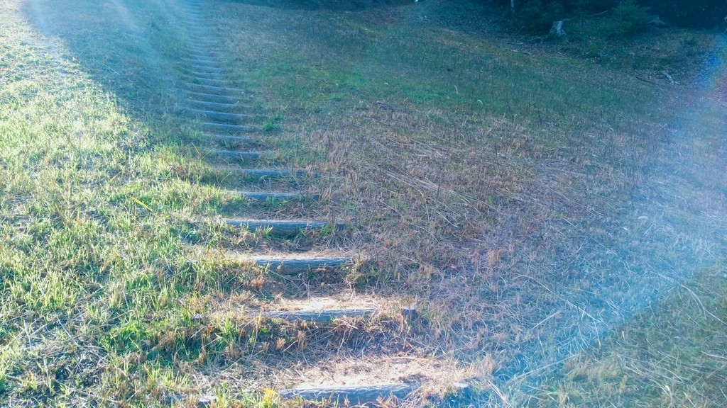 和光山公園遊歩道 和光山公園遊歩道