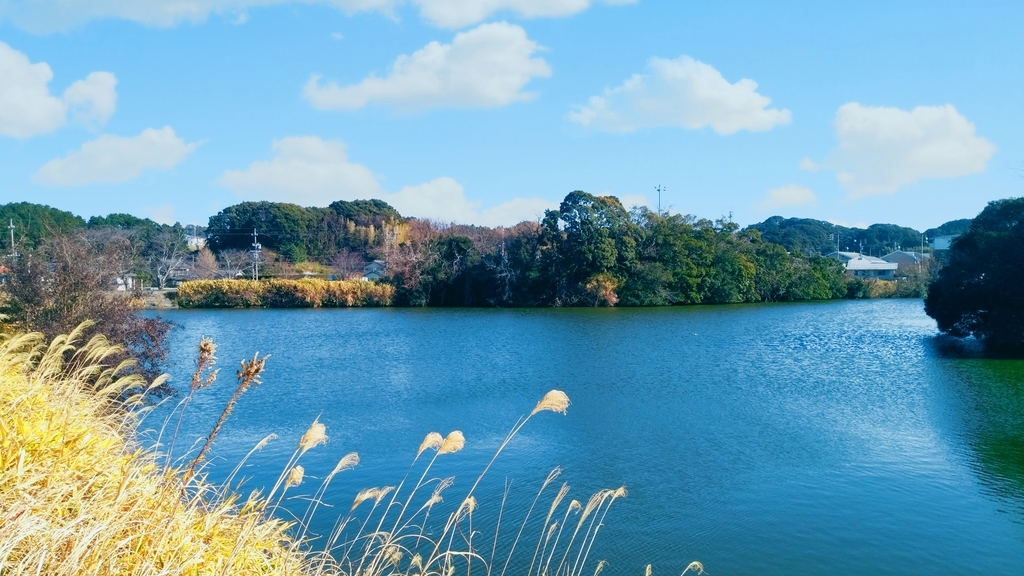 f:京徳池公園 京徳池公園
