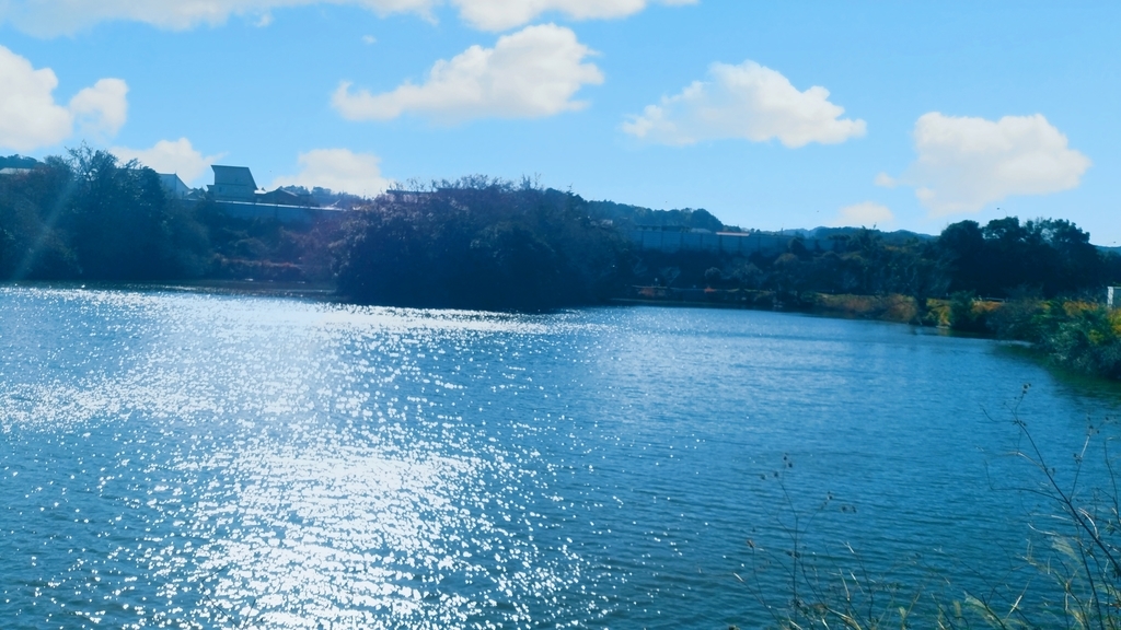 京徳池 京徳池