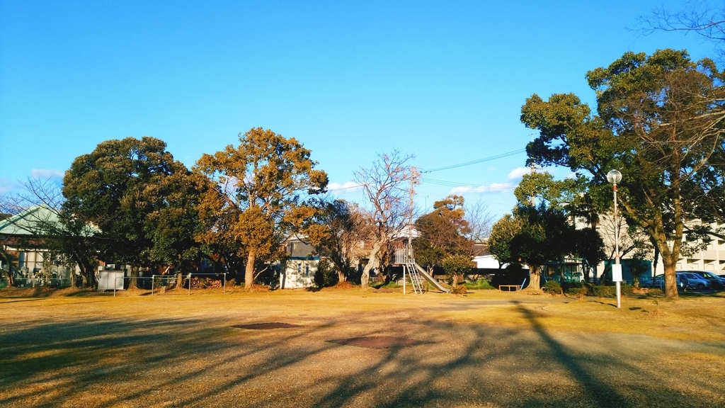 原っぱ 原っぱ