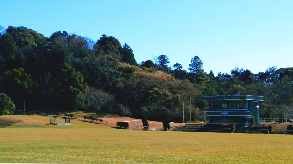 競技場 競技場
