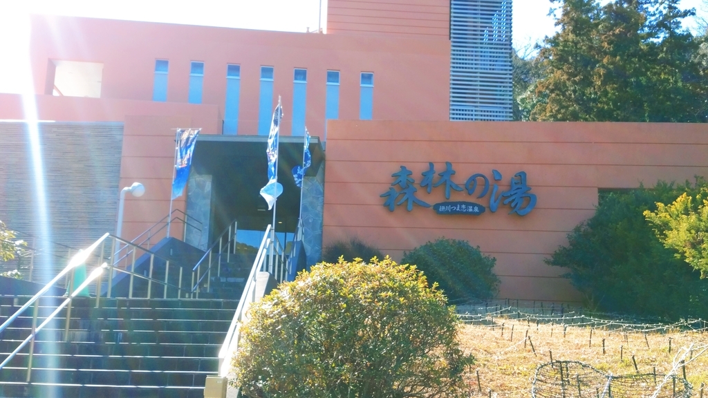 森林の湯 森林の湯