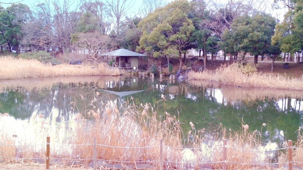 北池公園 北池公園