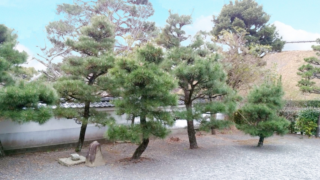 松林の庭園 松林の庭園