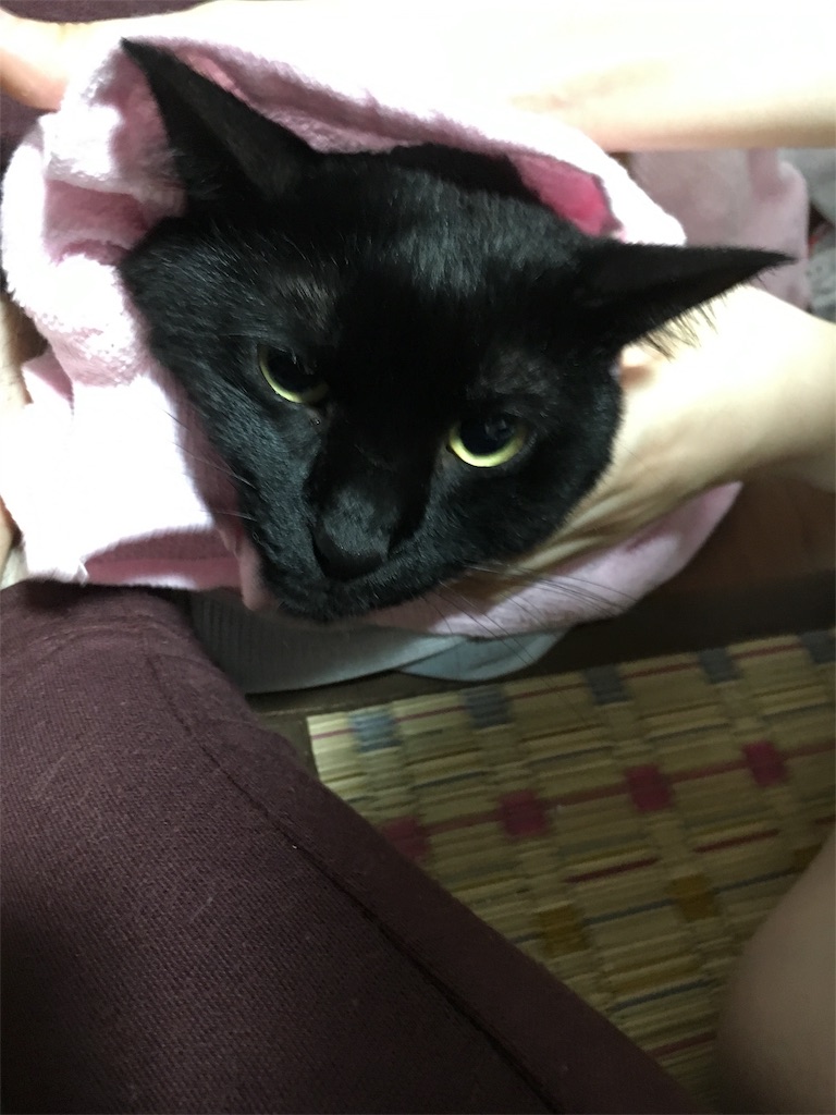 f:id:luvyduvy:20180912211905j:image f:id:luvyduvy:20180912211905j:image