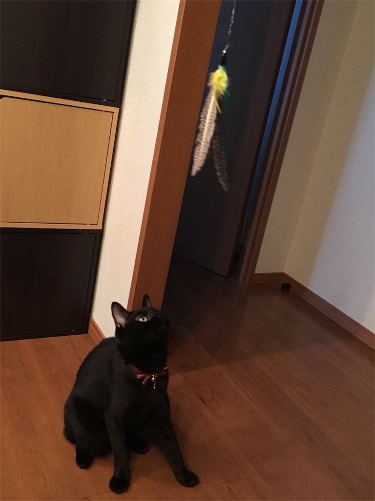 f:id:luvyduvy:20180912212008j:image f:id:luvyduvy:20180912212008j:image