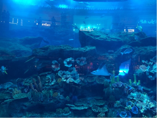 f:id:luxetraveller:20191006215445j:plain f:id:luxetraveller:20191006215445j:plain