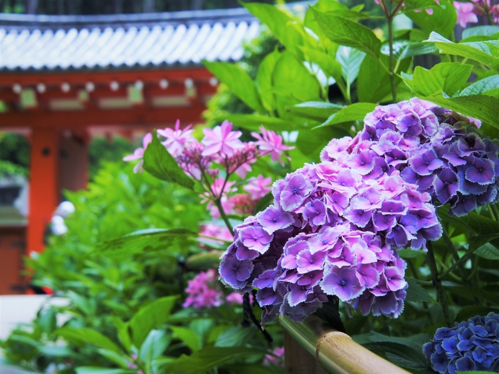 f:id:luzern:20180629023153j:plain f:id:luzern:20180629023153j:plain