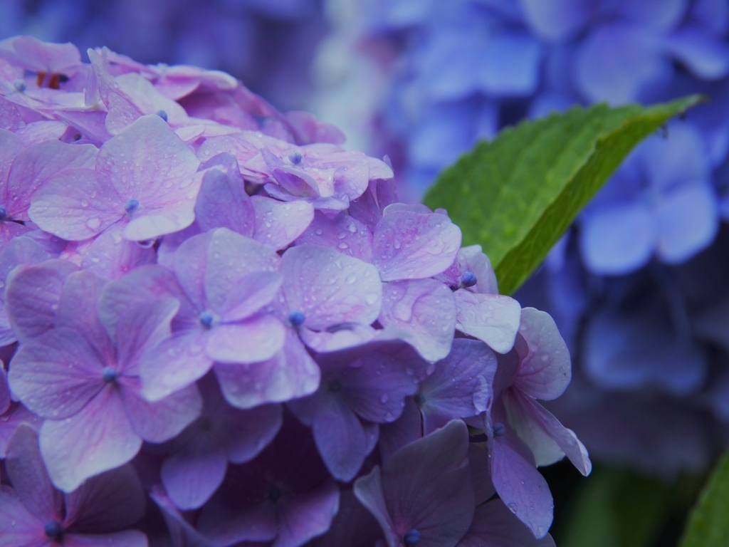 f:id:luzern:20180629234441j:plain f:id:luzern:20180629234441j:plain