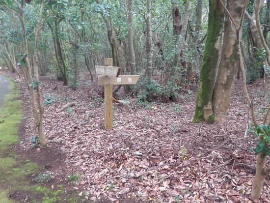 f:id:lvjd5446:20181219080014j:plain