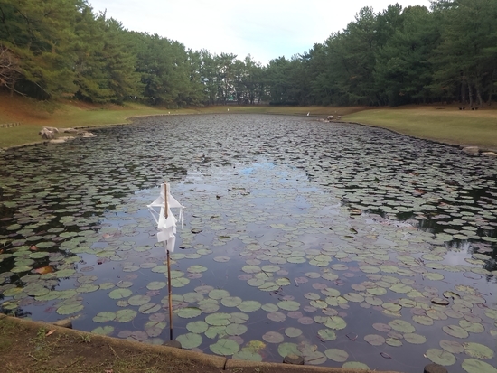 f:id:lvjd5446:20181219080102j:plain