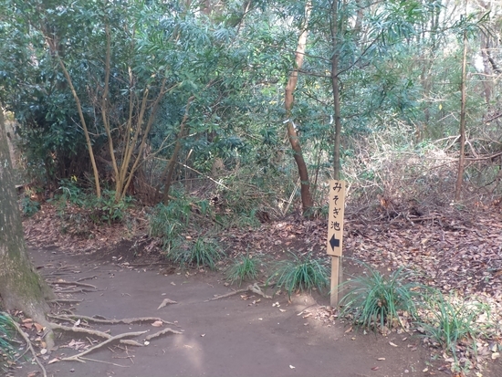 f:id:lvjd5446:20181219080138j:plain