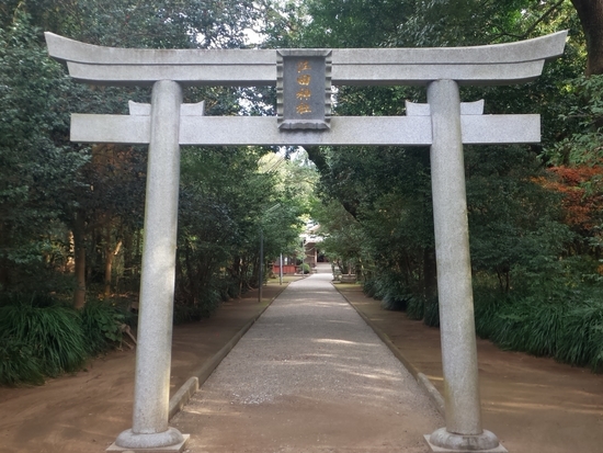 f:id:lvjd5446:20181219080201j:plain