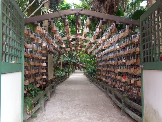 f:id:lvjd5446:20181221080107j:plain