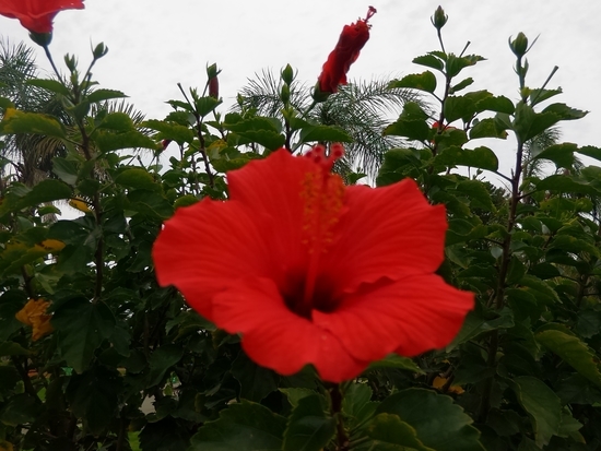 f:id:lvjd5446:20181221080506j:plain