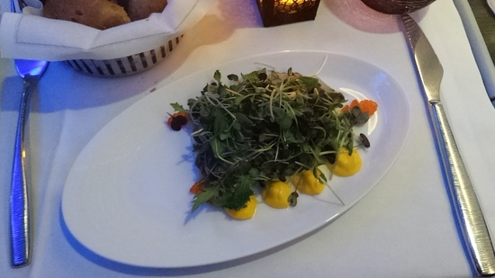 f:id:lvjd5446:20190215075154j:plain