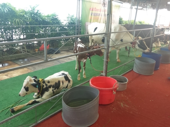 f:id:lvjd5446:20190315075841j:plain