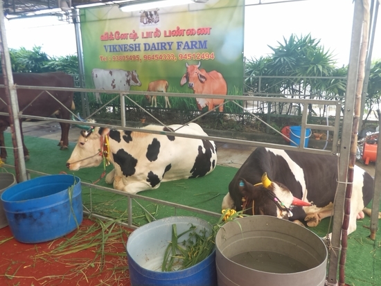 f:id:lvjd5446:20190315075920j:plain