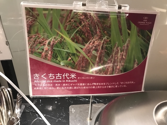 f:id:lvjd5446:20200328195951j:plain