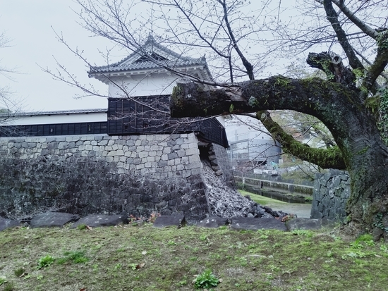 f:id:lvjd5446:20200331141048j:plain