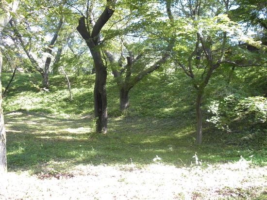 f:id:lvjd5446:20200501161852j:plain