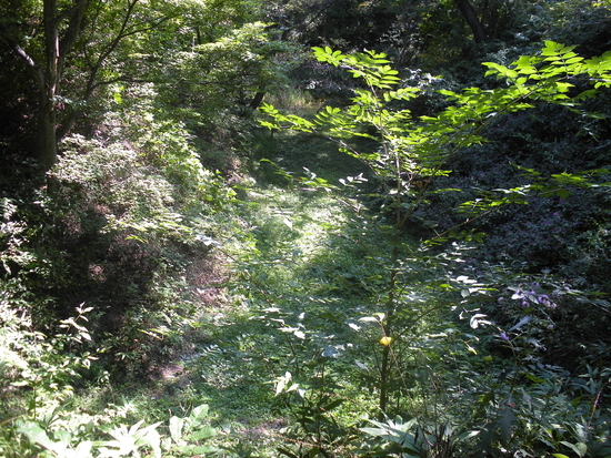 f:id:lvjd5446:20200501162043j:plain
