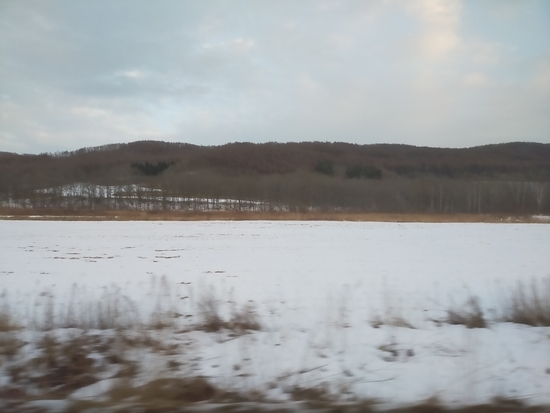 f:id:lvjd5446:20220109225541j:plain