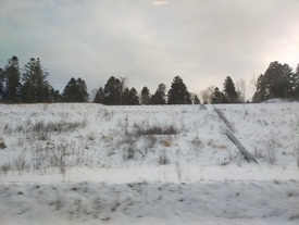 f:id:lvjd5446:20220109225618j:plain