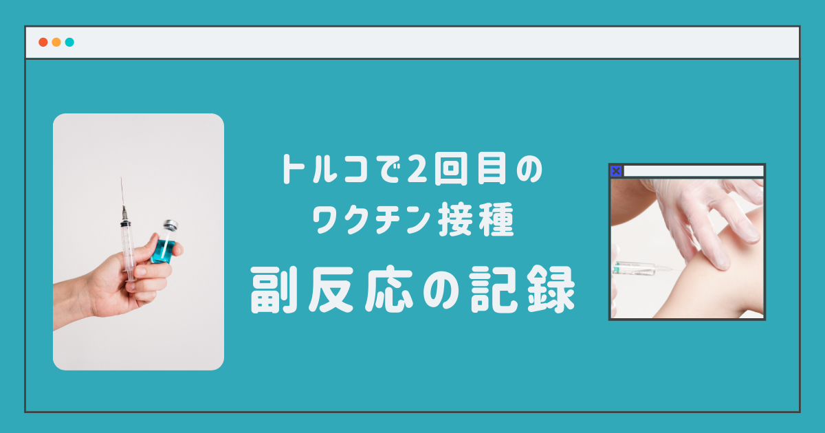 f:id:lvst729:20210816201809p:plain