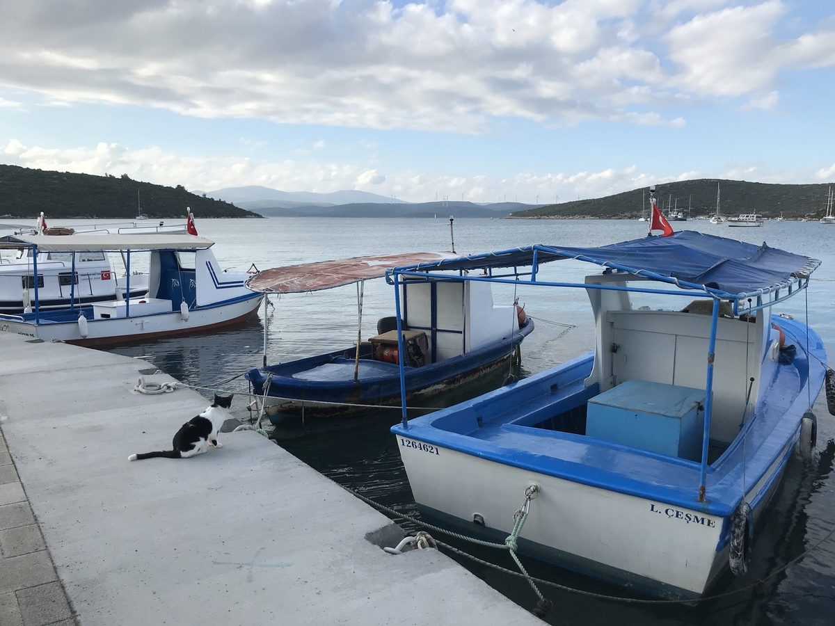 f:id:lvst729:20211108233150j:plain