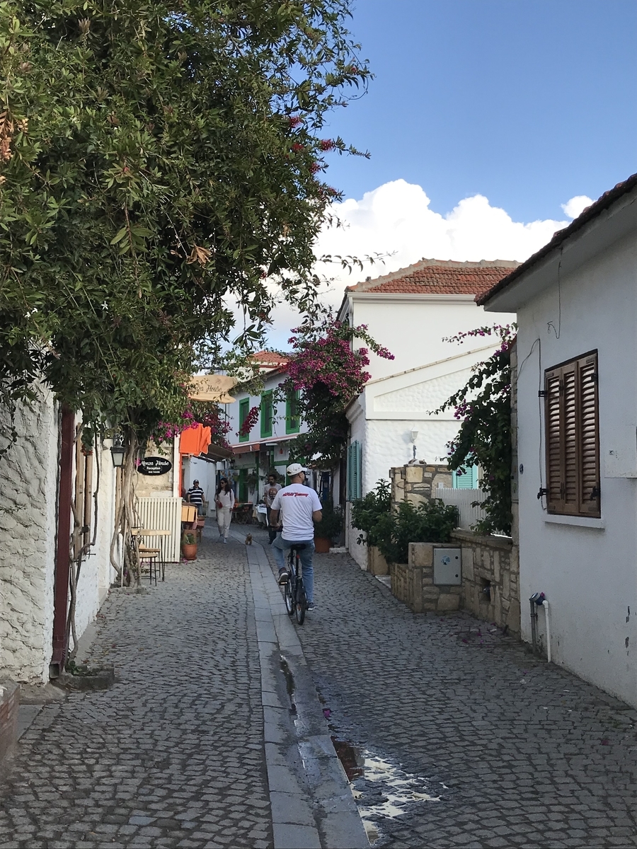 f:id:lvst729:20211108234817j:plain