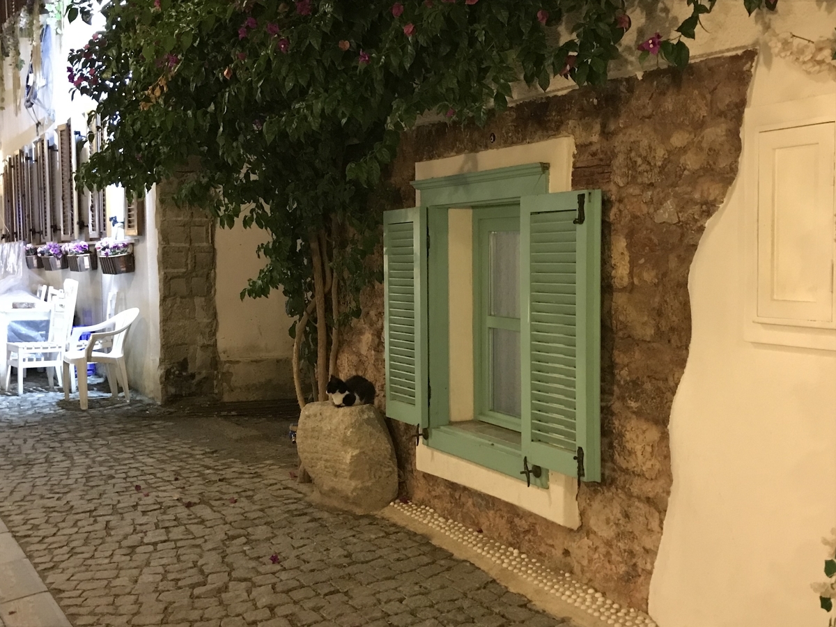 f:id:lvst729:20211109002410j:plain