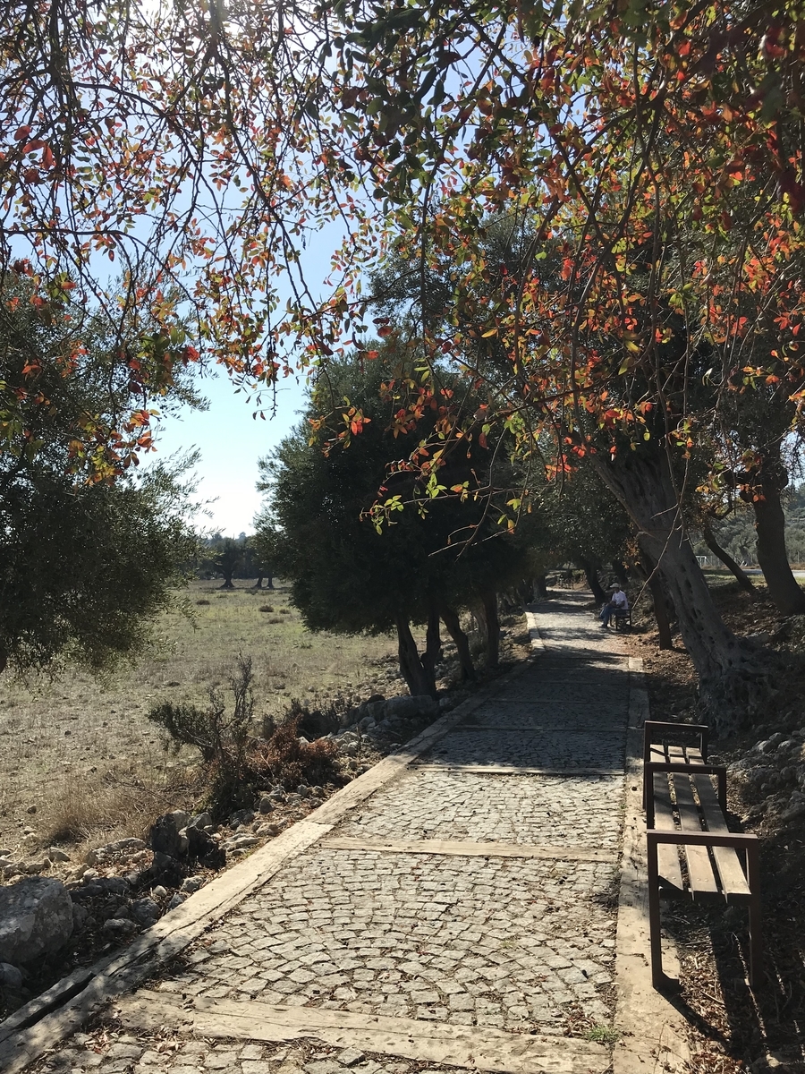 f:id:lvst729:20211109004227j:plain