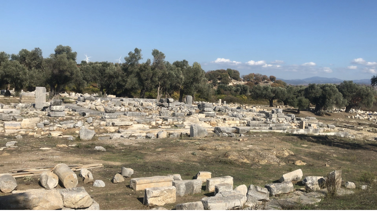 f:id:lvst729:20211109004844j:plain