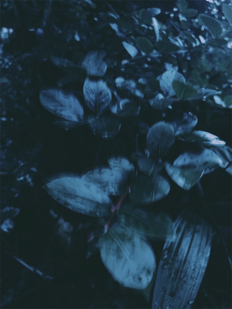 f:id:lwndop:20200815002159j:plain